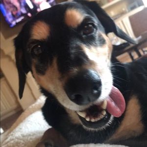 Meet your Posher, Jeff